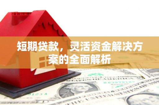 山阳短期贷款，灵活资金解决方案的全面解析