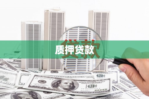 山阳质押贷款
