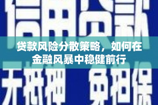 山阳贷款风险分散策略，如何在金融风暴中稳健前行
