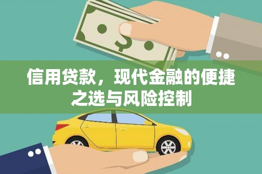 山阳信用贷款，现代金融的便捷之选与风险控制