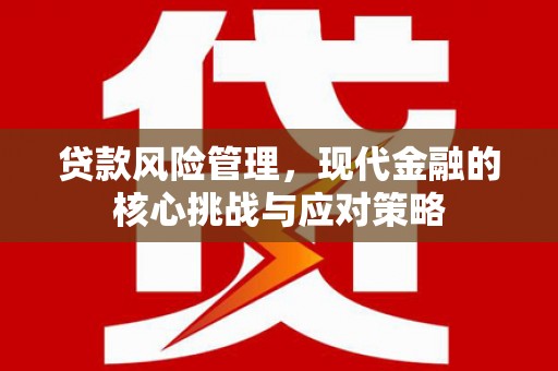 山阳贷款风险管理，现代金融的核心挑战与应对策略