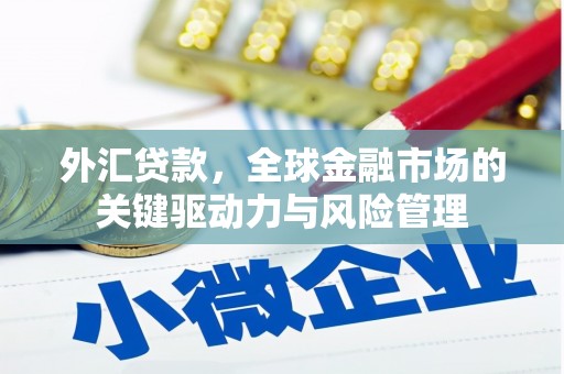 山阳外汇贷款，全球金融市场的关键驱动力与风险管理