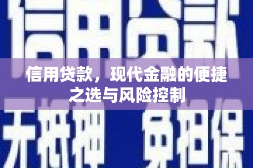 山阳信用贷款，现代金融的便捷之选与风险控制