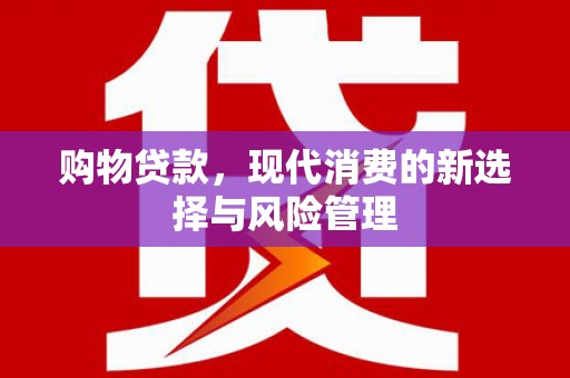 山阳购物贷款，现代消费的新选择与风险管理