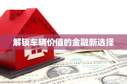 山阳解锁车辆价值的金融新选择