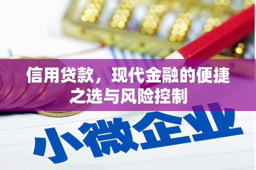 山阳信用贷款，现代金融的便捷之选与风险控制