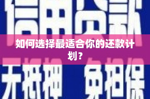山阳如何选择最适合你的还款计划？
