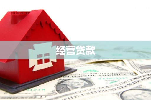 山阳经营贷款
