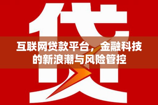 山阳互联网贷款平台，金融科技的新浪潮与风险管控