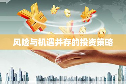 山阳风险与机遇并存的投资策略