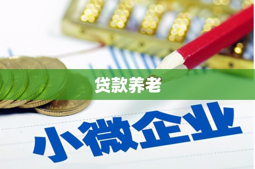 山阳贷款养老
