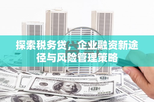 山阳探索税务贷，企业融资新途径与风险管理策略