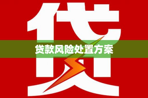 山阳贷款风险处置方案