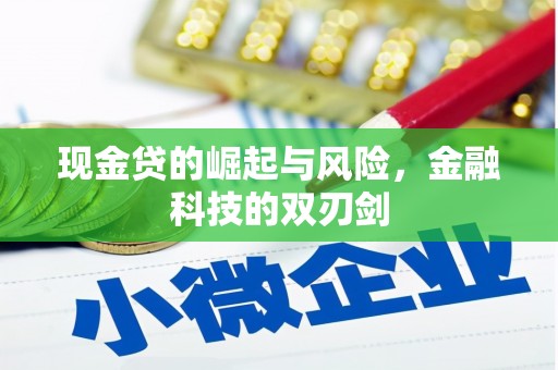 山阳现金贷的崛起与风险，金融科技的双刃剑