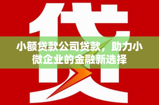 山阳小额贷款公司贷款，助力小微企业的金融新选择