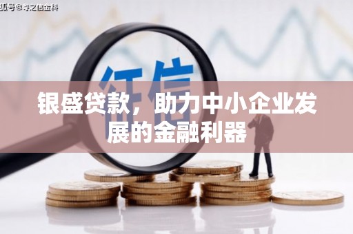 山阳银盛贷款，助力中小企业发展的金融利器