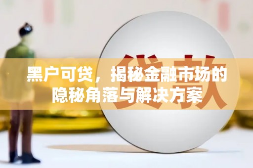 山阳黑户可贷，揭秘金融市场的隐秘角落与解决方案