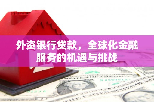 山阳外资银行贷款，全球化金融服务的机遇与挑战