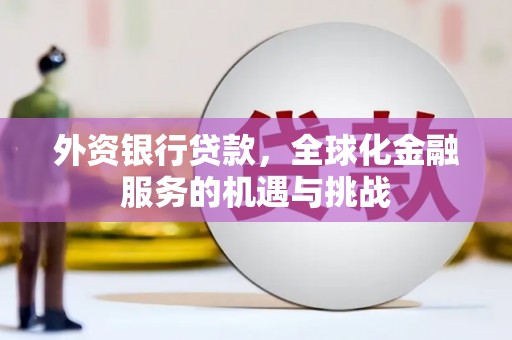 山阳外资银行贷款，全球化金融服务的机遇与挑战