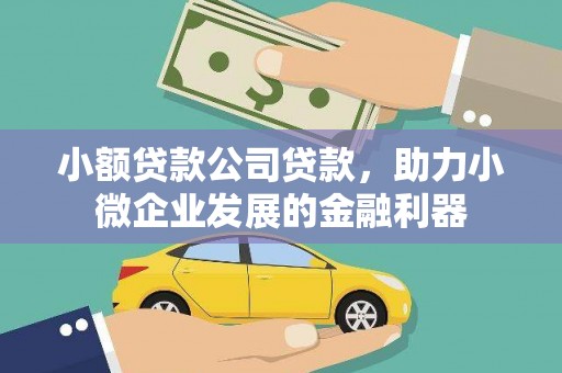 山阳小额贷款公司贷款，助力小微企业发展的金融利器