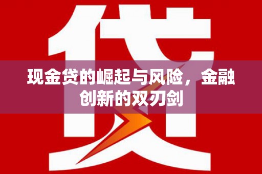 山阳现金贷的崛起与风险，金融创新的双刃剑