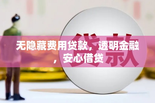 山阳无隐藏费用贷款，透明金融，安心借贷