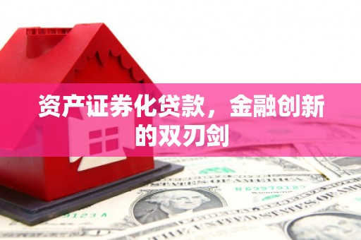 山阳资产证券化贷款，金融创新的双刃剑