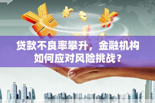 山阳贷款不良率攀升，金融机构如何应对风险挑战？
