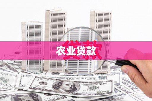 山阳农业贷款