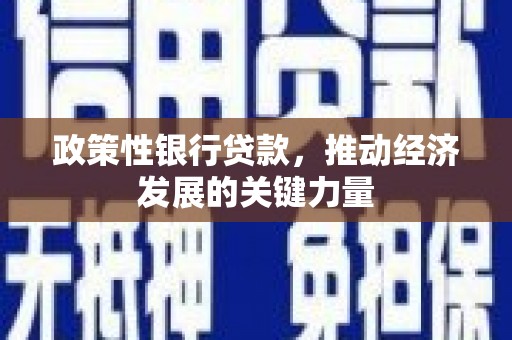 山阳政策性银行贷款，推动经济发展的关键力量