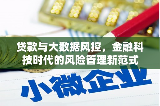 山阳贷款与大数据风控，金融科技时代的风险管理新范式