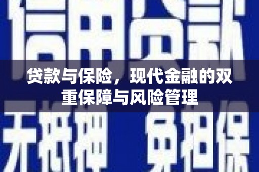 山阳贷款与保险，现代金融的双重保障与风险管理