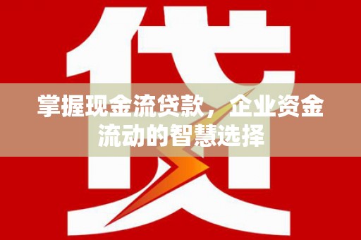 山阳掌握现金流贷款，企业资金流动的智慧选择