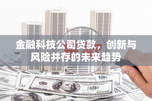 山阳金融科技公司贷款，创新与风险并存的未来趋势