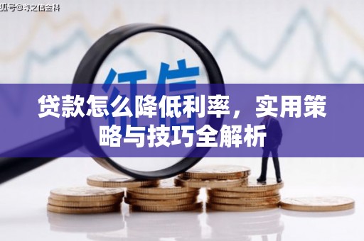 山阳贷款怎么降低利率，实用策略与技巧全解析