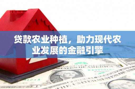 山阳贷款农业种植，助力现代农业发展的金融引擎