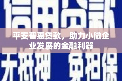 山阳平安普惠贷款，助力小微企业发展的金融利器