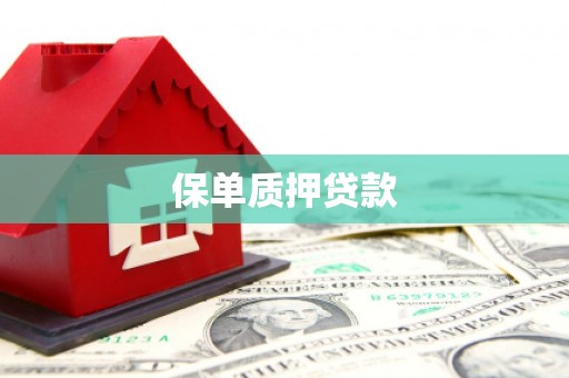 山阳保单质押贷款