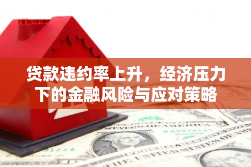 山阳贷款违约率上升，经济压力下的金融风险与应对策略