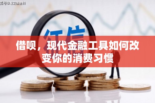 山阳借呗，现代金融工具如何改变你的消费习惯