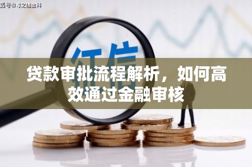 山阳贷款审批流程解析，如何高效通过金融审核