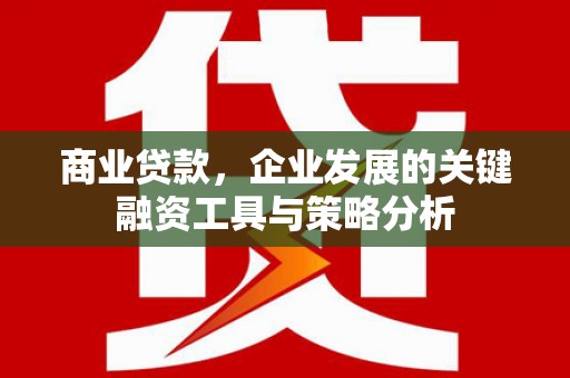 山阳商业贷款，企业发展的关键融资工具与策略分析