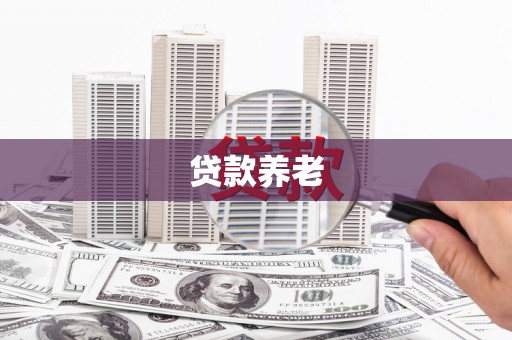 山阳贷款养老