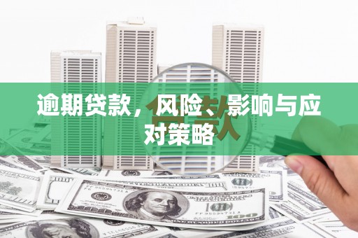 山阳逾期贷款，风险、影响与应对策略