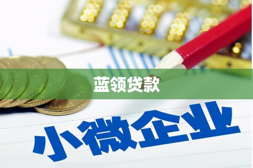 山阳蓝领贷款