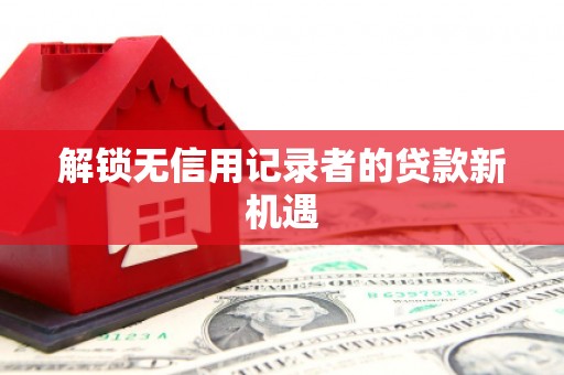 山阳解锁无信用记录者的贷款新机遇