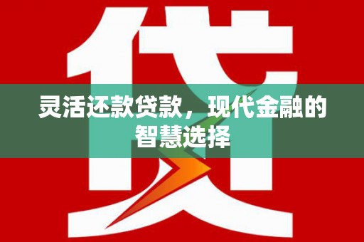 山阳灵活还款贷款，现代金融的智慧选择