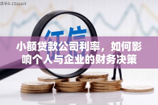 山阳小额贷款公司利率，如何影响个人与企业的财务决策