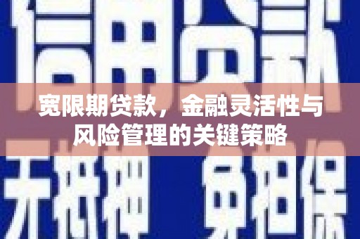 山阳宽限期贷款，金融灵活性与风险管理的关键策略