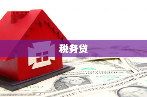 山阳税务贷